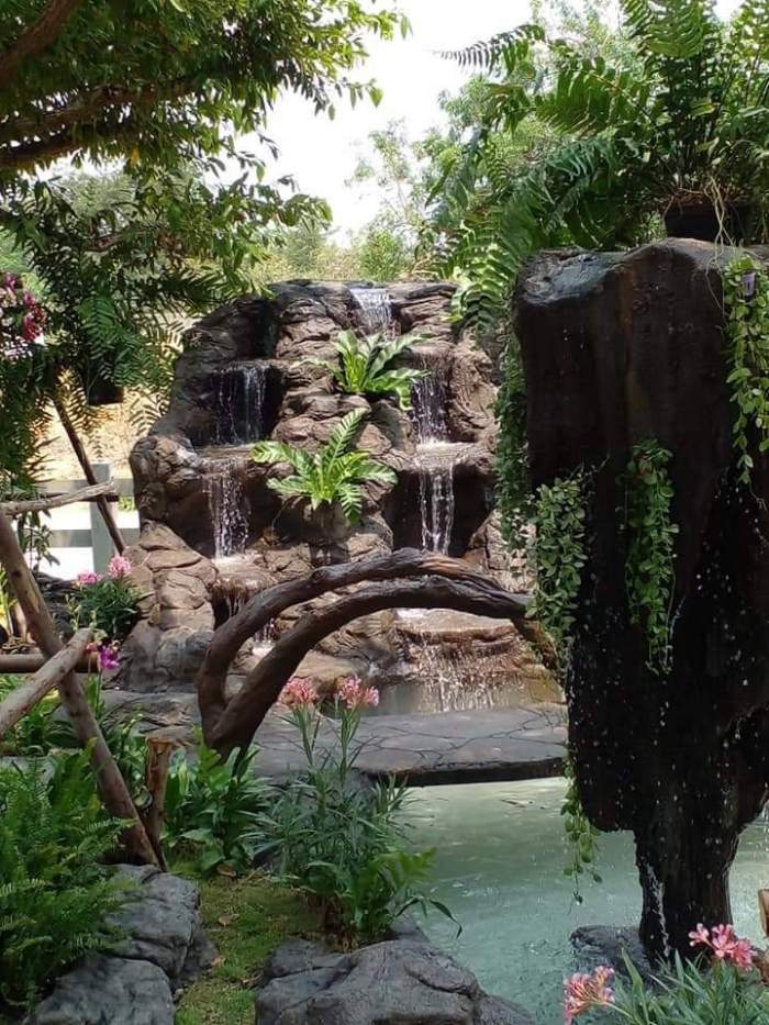 8 - https://บ้านสวนดีไซน์.com | บ้านสวนดีไซน์ - บริการรับออกแบบจัดสวนหญ้า - สวนหิน สร้างบ่อปลา ทำน้ำตก ครบวงจรทั่วไทย เจ้าของร้านทำเอง ไม่ผ่านนายหน้า